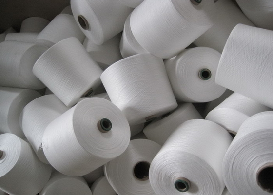 Raw White Polyester Ring Spun Yarn